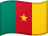 Cameroon Flag